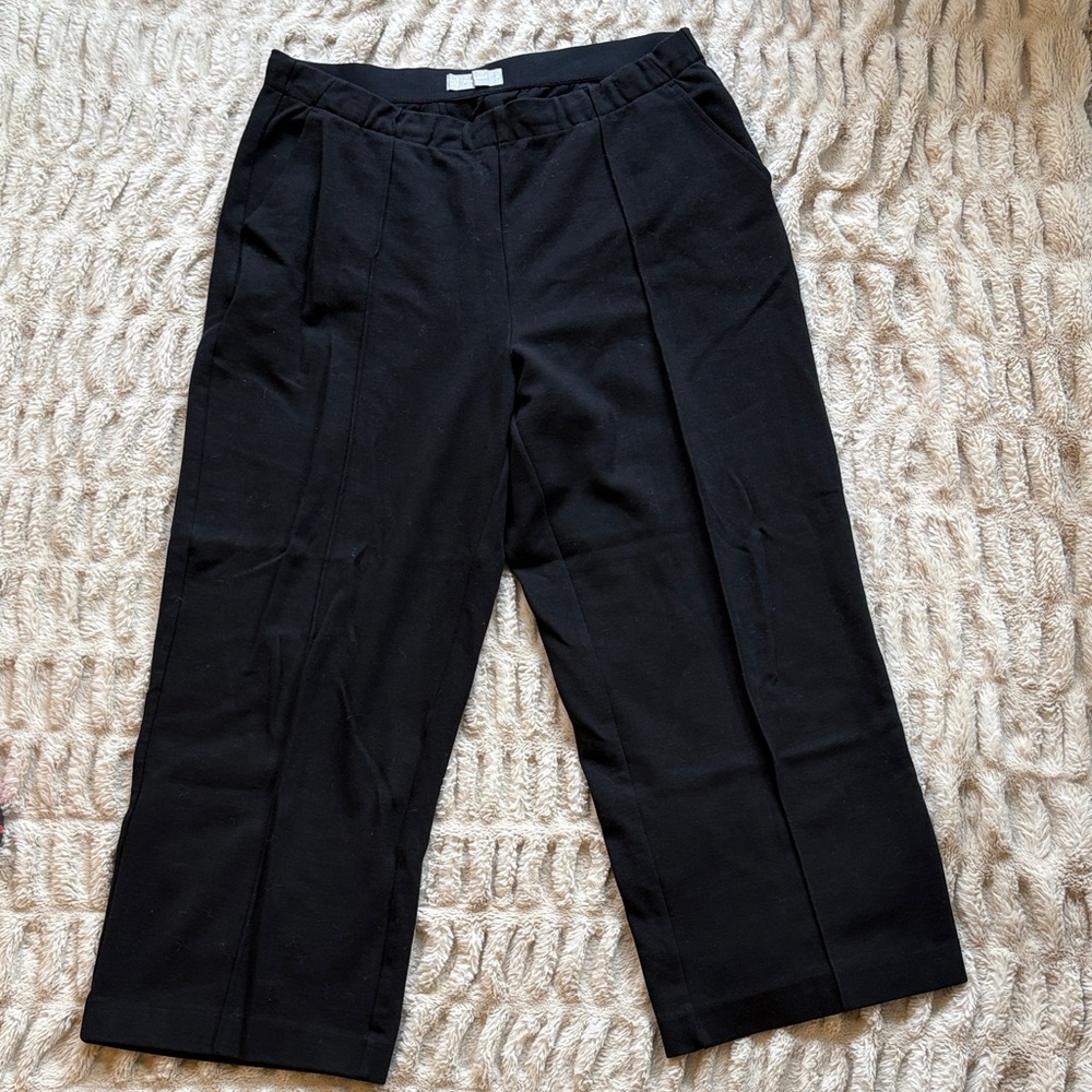Everlane Wide Leg Dream Pant